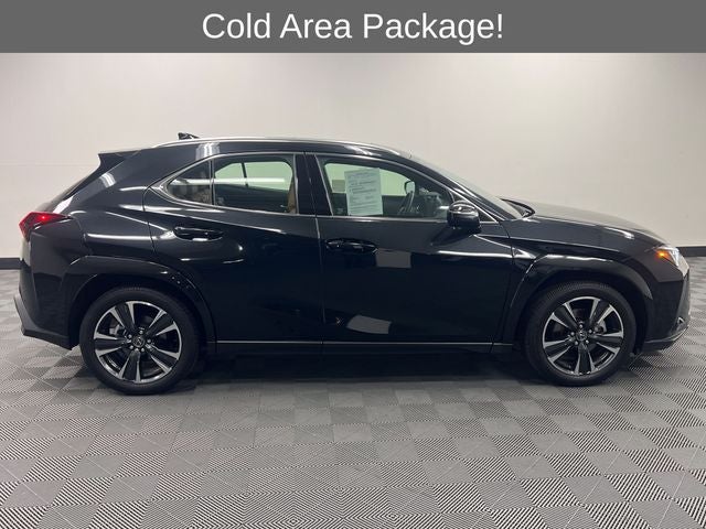 2025 Lexus UX 300h Premium