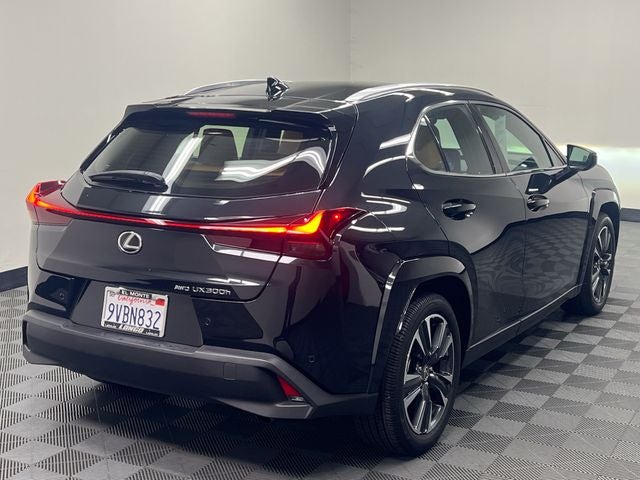 2025 Lexus UX 300h Premium