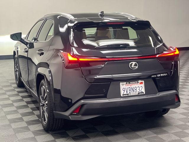 2025 Lexus UX 300h Premium