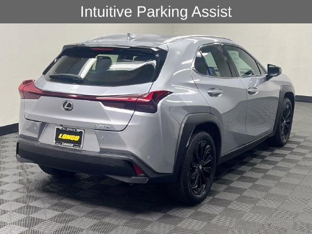 2024 Lexus UX 250h