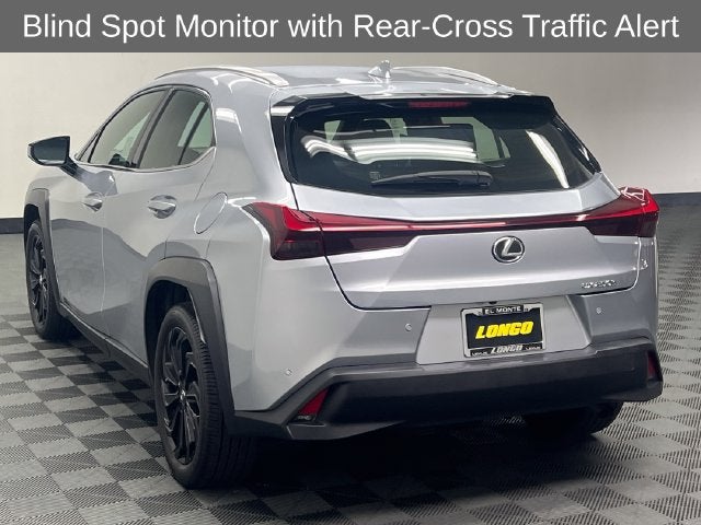 2024 Lexus UX 250h