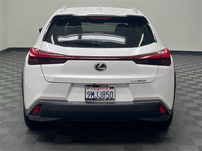 2024 Lexus UX 250h