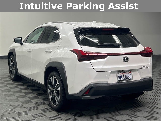 2024 Lexus UX 250h
