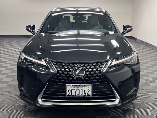 2023 Lexus UX 250h