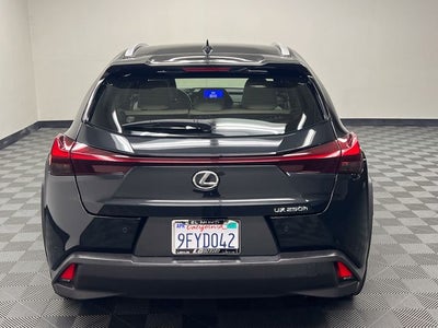 2023 Lexus UX 250h