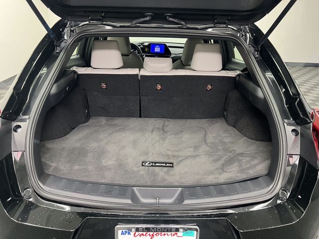 2023 Lexus UX 250h