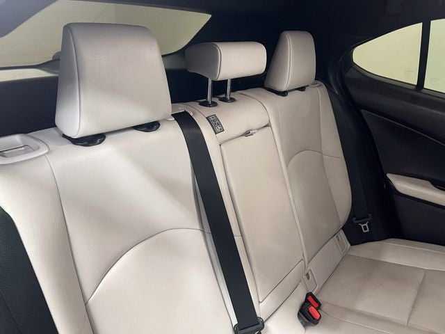 2020 Lexus UX 250h