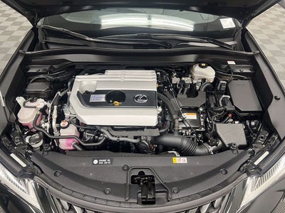2020 Lexus UX 250h