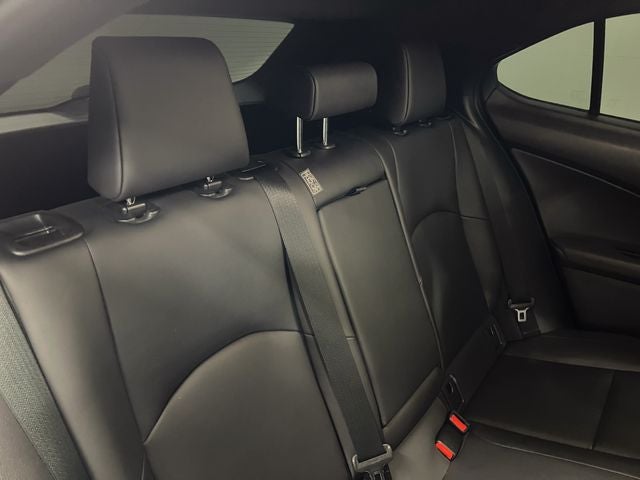 2019 Lexus UX 200