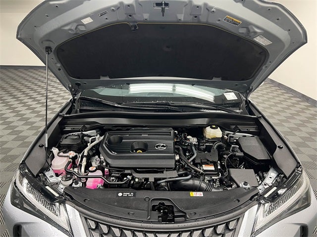 2025 Lexus UX 300h