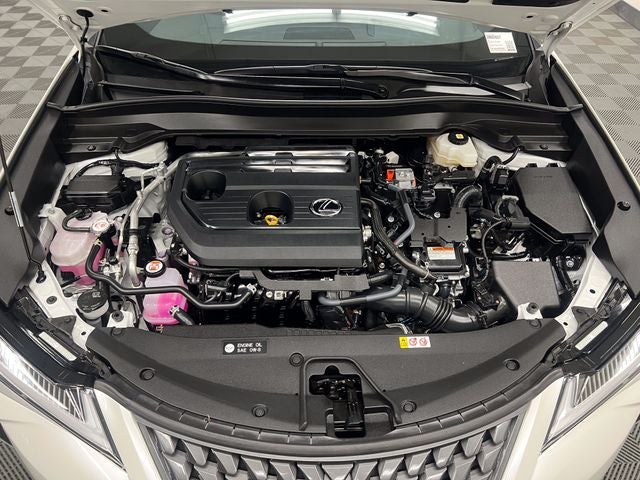 2025 Lexus UX 300h