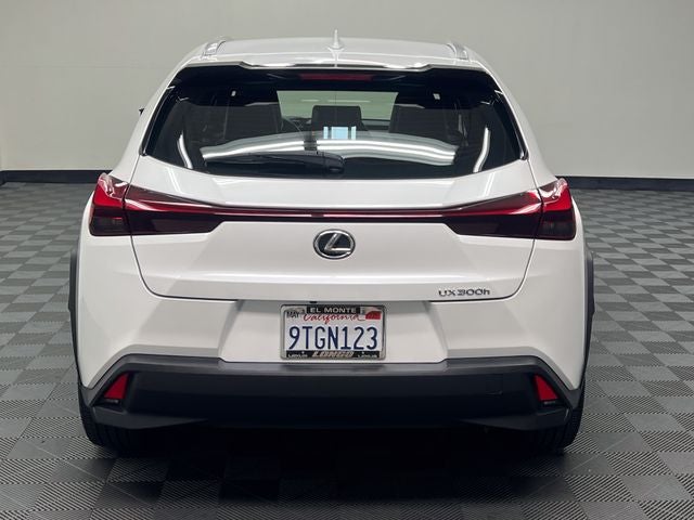 2025 Lexus UX 300h
