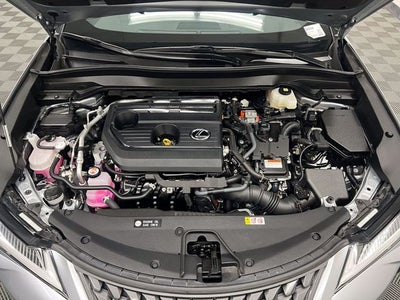 2025 Lexus UX 300h
