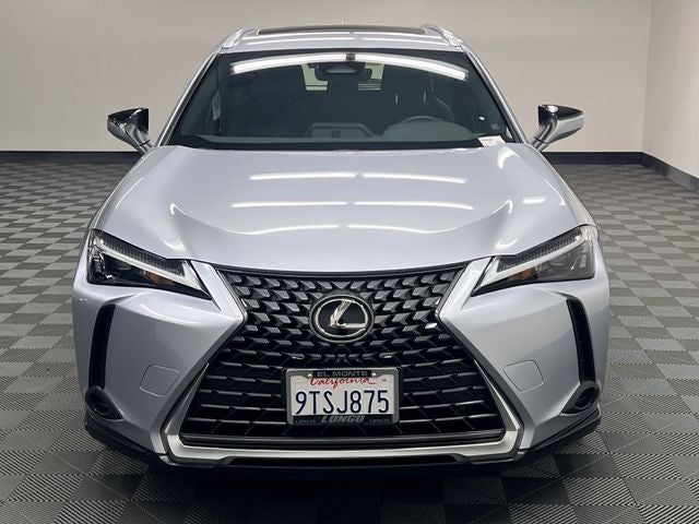 2025 Lexus UX 300h