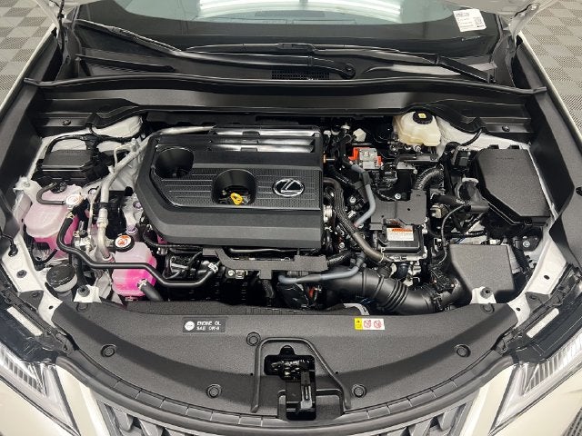 2025 Lexus UX 300h
