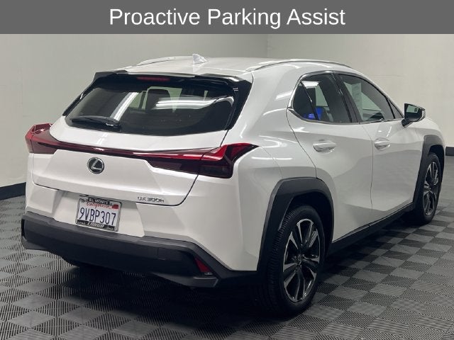 2025 Lexus UX 300h