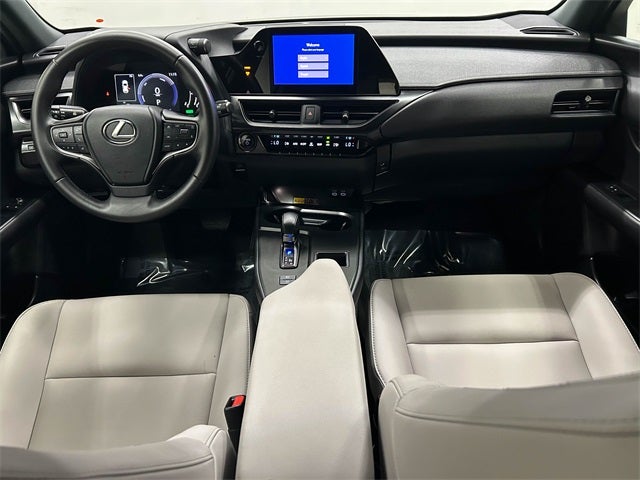 2025 Lexus UX 300h