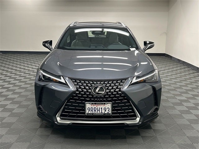 2025 Lexus UX 300h