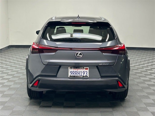 2025 Lexus UX 300h