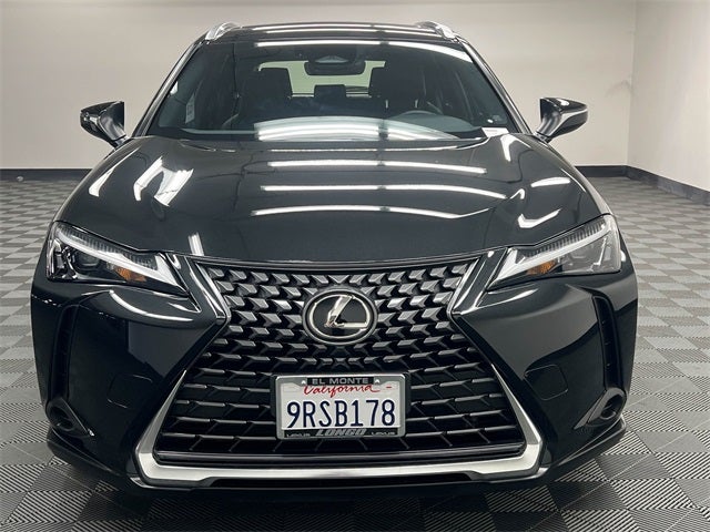 2025 Lexus UX 300h
