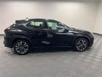 2025 Lexus UX 300h