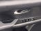 2025 Lexus UX 300h