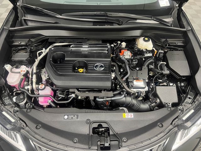 2025 Lexus UX 300h