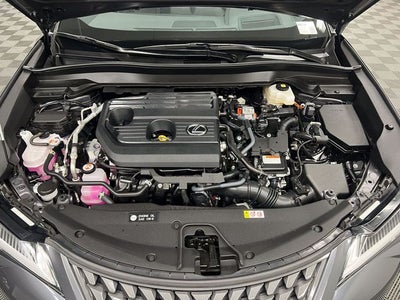 2025 Lexus UX 300h Premium