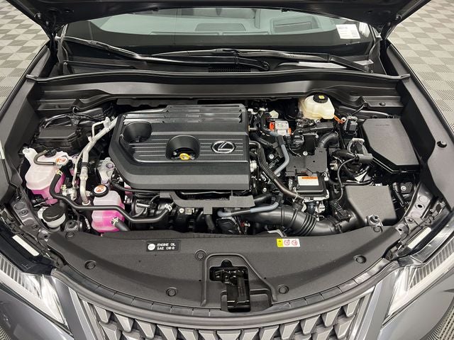 2025 Lexus UX 300h Premium