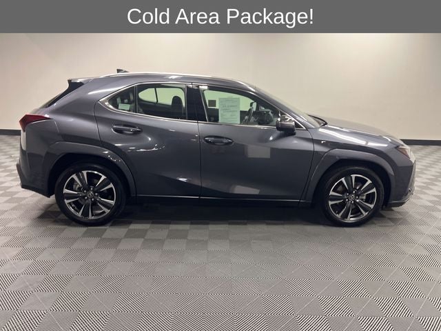 2025 Lexus UX 300h Premium