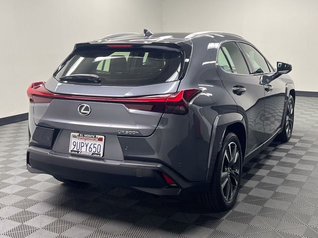 2025 Lexus UX 300h Premium