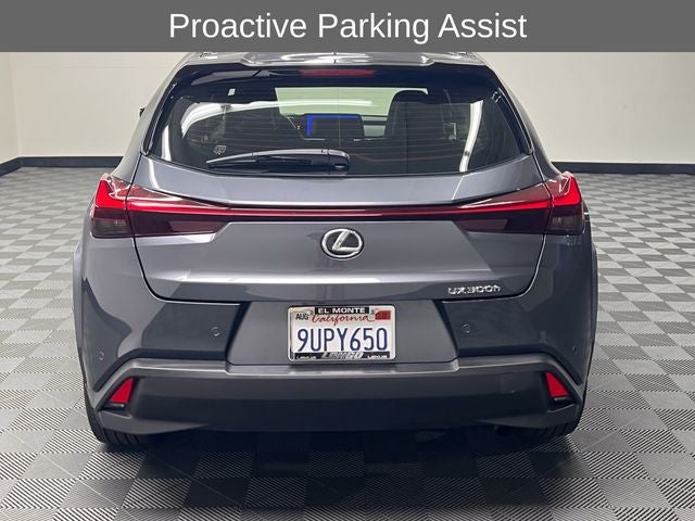 2025 Lexus UX 300h Premium