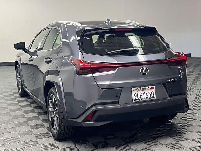 2025 Lexus UX 300h Premium