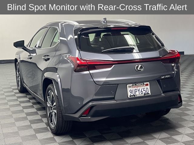 2025 Lexus UX 300h Premium