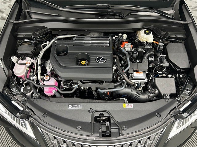 2025 Lexus UX 300h