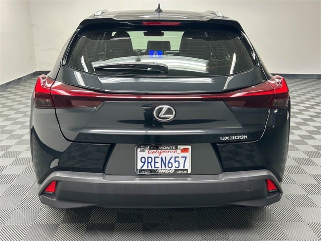 2025 Lexus UX 300h