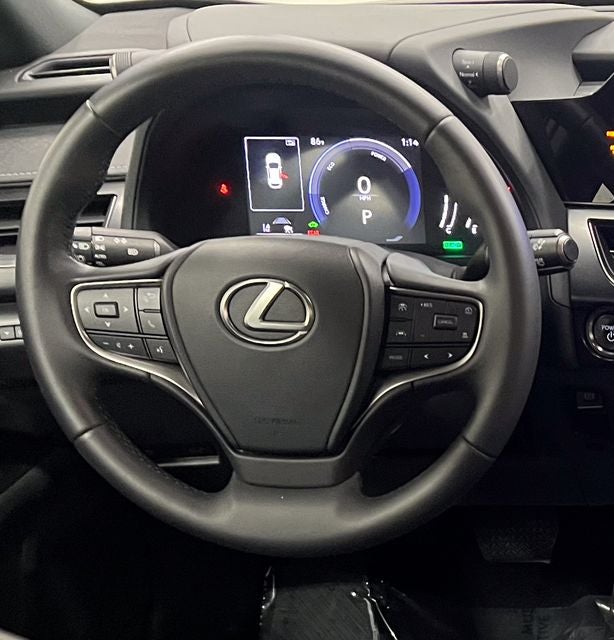 2025 Lexus UX 300h