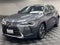 2025 Lexus UX 300h