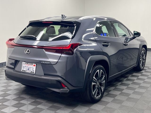 2025 Lexus UX 300h