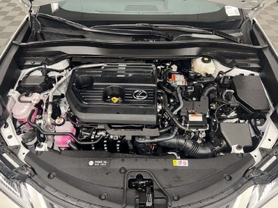 2025 Lexus UX 300h