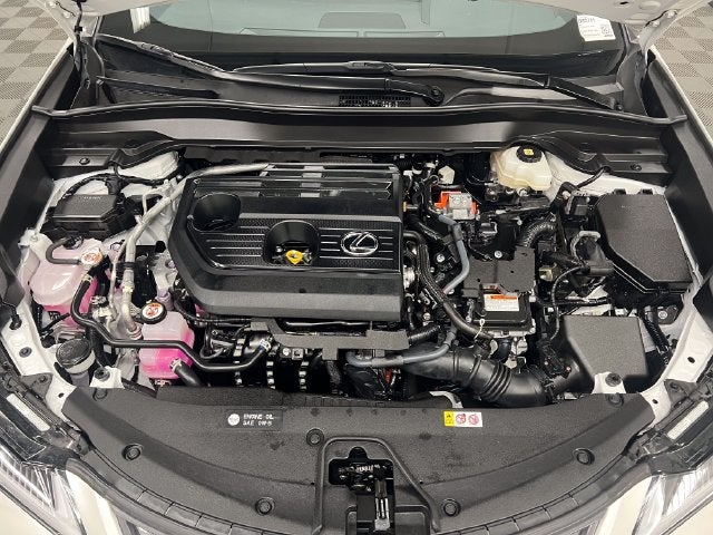 2025 Lexus UX 300h