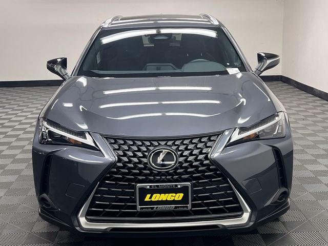 2025 Lexus UX 300h