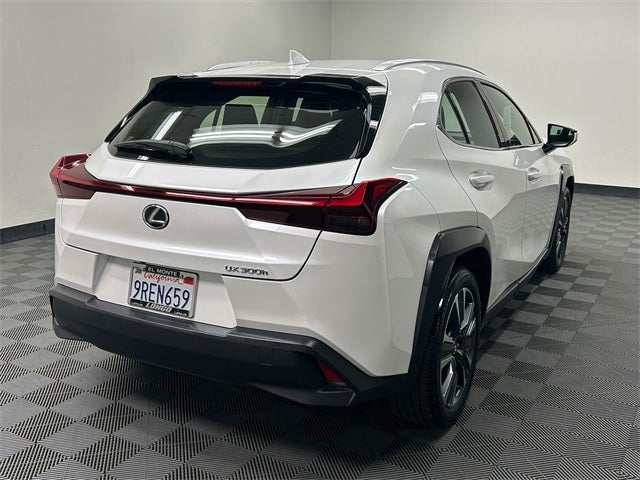 2025 Lexus UX 300h