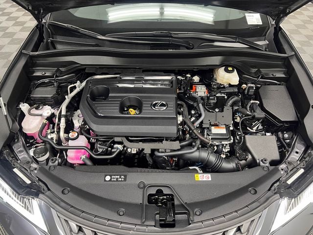 2025 Lexus UX 300h