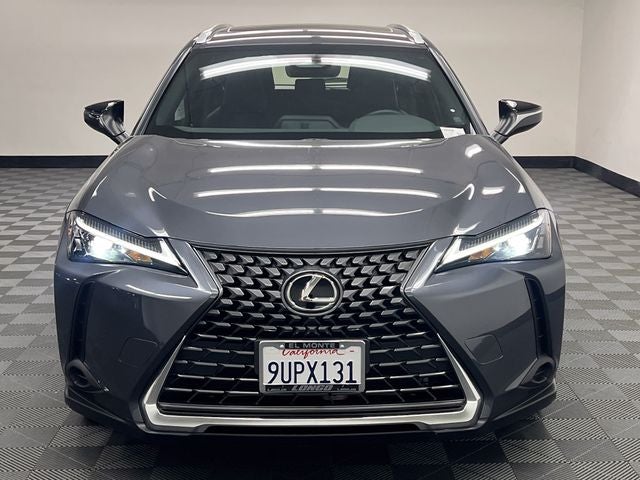 2025 Lexus UX 300h