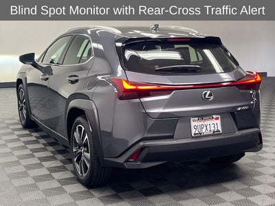 2025 Lexus UX 300h