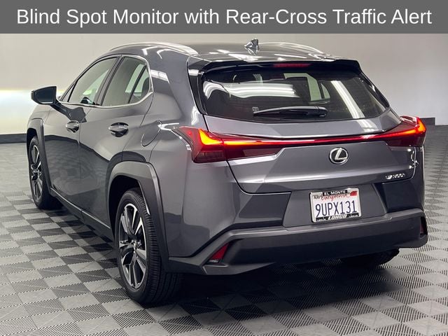 2025 Lexus UX 300h