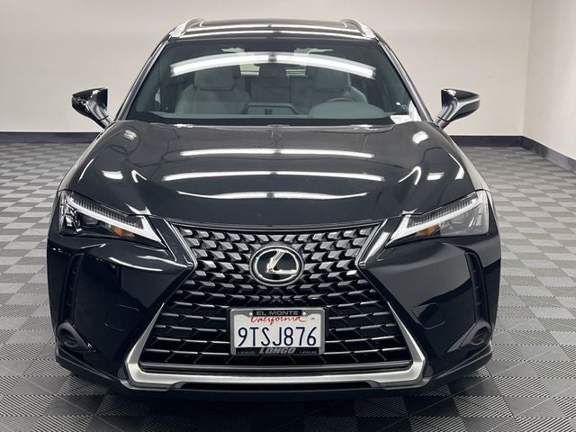 2025 Lexus UX 300h
