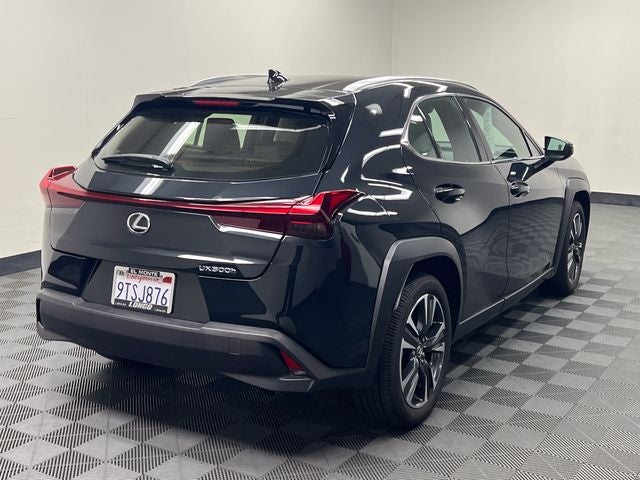 2025 Lexus UX 300h