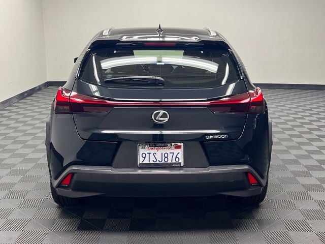 2025 Lexus UX 300h